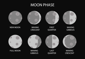 Moon Phase Vector gratuito
