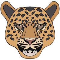 leopardo testa illustrazione, sport portafortuna o squadra logo nel piatto stile. cartone animato Immagine nel vettore grafica.