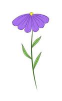 fiore selvaggio viola vettore