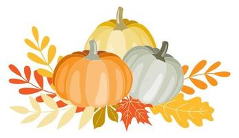 clipart illustrazione composizione di diverso zucche e le foglie nel caldo autunno colori. impostato di isolato oggetti. ringraziamento, Halloween o raccogliere celebrazione uso, carte disegno, scrapbooking. vettore