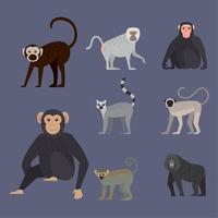 otto scimmie natura animali vettore