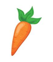 verdura fresca di carota vettore