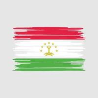 pennello bandiera tagikistan. bandiera nazionale vettore