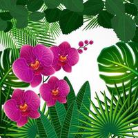 sfondo di disegno floreale. fiori di orchidea. vettore