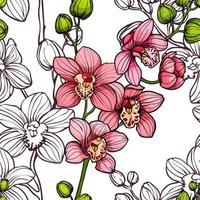 rosa orchidee su bianca sfondo, senza soluzione di continuità vettore modello. mano disegnato illustrazione. esotico tropicale fiori