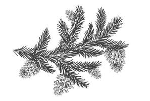 Natale albero e pino alberi con coni mano disegnato illustrazione. vettore