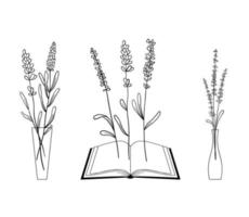 impostato di lavanda fiori nel linea stile nel vasi e libro. collezione di Fiore di campo impianti e mazzo di lavanda rami. vettore illustrazione isolato su bianca