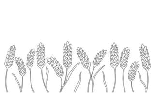 Grano grano orecchio confine, natura modello, continuo arte linea disegno. lineare schizzo di Grano, orzo, Riso, Mais, avena orecchio e grano. schema spica pianta per agricoltura, cereale prodotti, forno. vettore