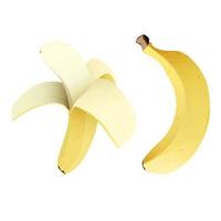 cartone animato Banana e metà pelato Banana isolato su un' bianca sfondo. tropicale frutta vettore illustrazione