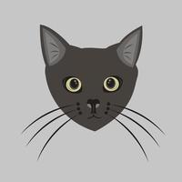 misterioso buio gatto vettore illustrazione per grafico design e decorativo elemento