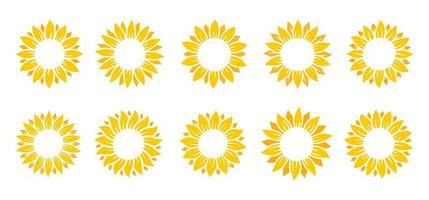giallo girasoli fioritura nel primavera. per decorazione benvenuto cartello vettore