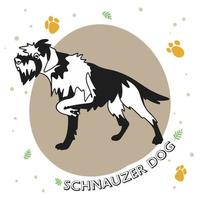 cane razza schnauzer, pieno lunghezza, divertente cucciolo vettore