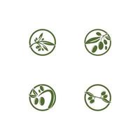 disegno dell'illustrazione dell'icona di vettore del modello di logo dell'oliva