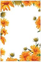 giallo camomilla fiori telaio, gerbera floreale sfondo, venettatura vettore illustrazione