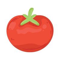 rosso pomodoro fresco verdura vettore