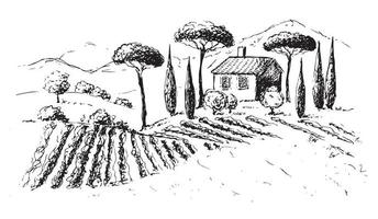 paesaggio di piantagioni di vite. illustrazione vettoriale disegnata a mano.