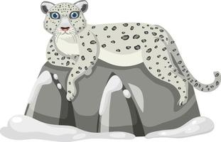 leopardo delle nevi isolato su sfondo bianco vettore