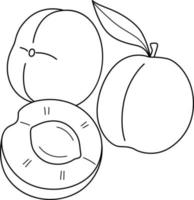 albicocca frutta isolato colorazione pagina per bambini vettore
