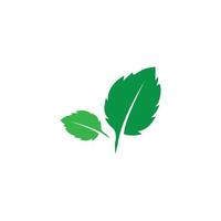verde foglia ecologia natura elemento vettore