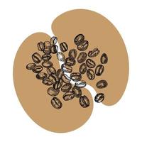 colorato caffè fagioli, schizzo, vettore disegno disegnato a mano, Perfetto ingrediente, selezionato grano