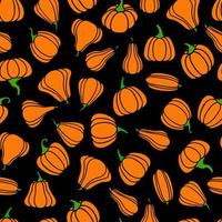 autunno modello con un' zucca su un' nero sfondo. Halloween modello. arancia zucca per ringraziamento vettore