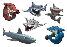 arrabbiato grigio, bianca e martello squali cartone animato personaggi vettore