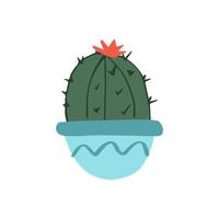 carino cactus nel un' pentola vettore illustrazione nel piatto stile