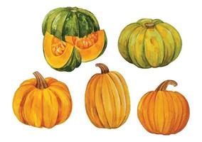 acquerello zucca autunno elementi vettore