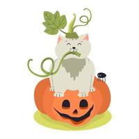 divertente gattino e jack-o-lanterna zucca. mano disegnato vettore illustrazione. grande per la creazione di Halloween manifesti, saluto carte