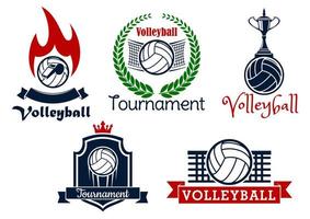 pallavolo sport gioco icone e simboli vettore