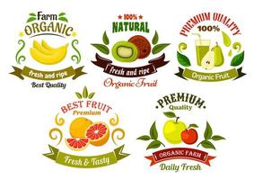 biologico fresco frutta emblemi e simboli vettore