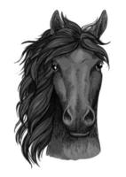 nero Corvo cavallo pieno viso artistico ritratto vettore