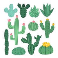 vettore impostato di carino cactus, aloe e le foglie. collezione di esotico impianti. decorativo naturale elementi siamo isolato su bianca. cactus con fiori illustrazione.