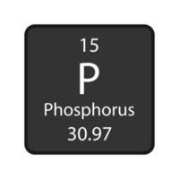 simbolo del fosforo. elemento chimico della tavola periodica. illustrazione vettoriale. vettore
