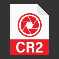 moderno design piatto dell'icona del file cr2 per il web vettore