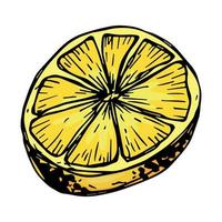 clipart di limone vettoriale. icona di agrumi disegnata a mano. illustrazione di frutta. per stampa, web, design, arredamento vettore