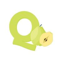 lettera q alfabeto frutta Mela cotogna, clip arte vettore, illustrazione isolato su un' bianca sfondo vettore