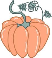 zucca verdura vettore mano disegnato illustrazione di stagione autunno raccogliere