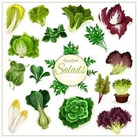 insalata verdi, frondoso verdure vettore manifesto