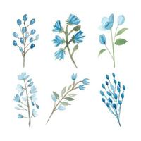 raccolta floreale blu dell'elemento dipinto a mano dell'acquerello vettore
