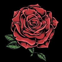 rosa rossa disegnata a mano sul nero