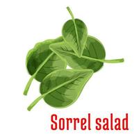 fresco Acetosa insalata verdura verde le foglie icona vettore