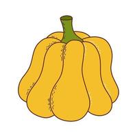 carino zucca. ringraziamento e Halloween elemento. vettore illustrazione nel mano disegnato stile