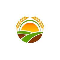 Grano grano agricoltura logo design vettore modello