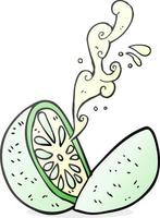 a mano libera disegnato cartone animato melone vettore