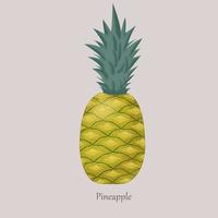 totale maturo tropicale ananas su un' grigio sfondo. sano, gustoso, dolce giallo frutta. esotico frutta e logo. vettore