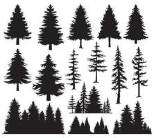 impostato di abete alberi. silhouette foresta Visualizza. pino alberi isolato su bianca sfondo vettore