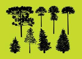 silhouette alberi di conifere