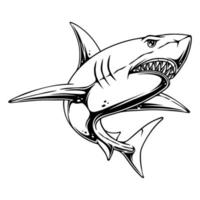 vettore illustrazione lato Visualizza di un' squalo con suo preda a caccia posizione nel il acqua nero e bianca design