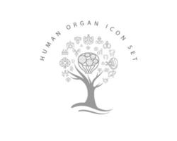 icona dell'organo umano impostata su sfondo bianco vettore